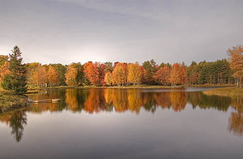 turning mill pond